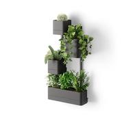 Umbra Jardinière murale Cubiko 4 pièces, bacs à fleurs, plastique PP, noir, 1018767-040