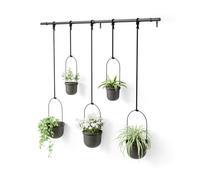 Umbra Triflora Jardinière Suspendue Tringle Extensible, Lot de 5, Noir/Noir | Ajustable horizontalement et verticalement, fixation murale ou plafond, convient aux pots standards, polypropylène recyclé