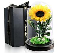 Un tournesol dans une cloche de verre : un cadeau romantique