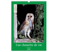 Une chouette de vie, les oiseaux (Calendrier mural 2027 DIN A3 horizontal), CALVENDO calendrier mensuel: Les chouettes qui peuplent notre environnement