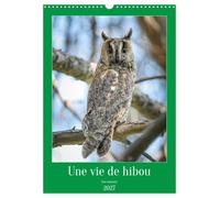 Une vie de hibou les oiseaux (Calendrier mural 2027 DIN A3 horizontal), CALVENDO calendrier mensuel: À la découverte des oiseaux qui nous entourent
