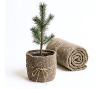 UNIGARDIA Feutre de Laine de Mouton 160 x 500 cm - Paillage Jardin 100% Naturel et Biodégradable - Tapis Sol Isolant Thermique pour Plantes - Protection Hivernale et Anti-Limaces