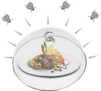 Uniqoos® Couvercle en acier inoxydable, 30x30x15 cm, cloche anti-mouches argentée pour aliments, assiettes, fruits, fromages et gâteaux – maille fine (environ 1 mm), résistante au vent