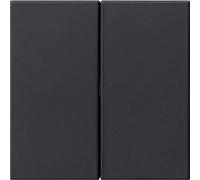 Unité supérieure de contrôle 2x sw - Contrôle intelligent noir 5362005
