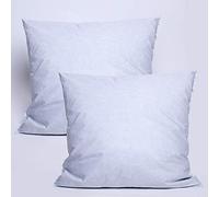 univers decor Lot de 2 oreillers Plumes 60 x 60 cm Dodo