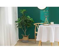 univers decor Nappe Unie et imprimée Ronde 160 cm antitaches (Blanc)