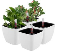 Unyqoos® : Jardinières auto-arrosantes pour herbes aromatiques – Lot de 4, 13 x 10 x 11 cm, à double paroi avec indicateur de niveau d'eau, pour intérieur et extérieur, en résine de polypropylène