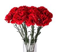 URFEDA Œillet Artificiels à Longue Tige Fleur en Soie Œillet Fleur Artificielle Arrangement DIY Bouquet de Fleurs Artificielles Décoration Maison Jardin Cadeau de Fête des Mères 10PCS Rouge