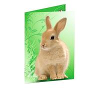 Ursus 5504005 Classeur avec élastique, Motif Lapin, Vert, Format A3, en Carton Dulplx, idéal pour Ranger et Transporter des Dessins, des Images et des Documents