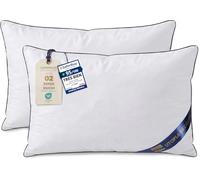 Utopia Bedding Coussin 30x50 cm Lot de 2, Coussins de Garnissage, Canapé Oreillers, Rembourrage Coussins, Intérieur Coussin Salon (Blanc)