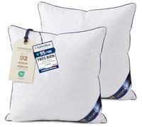 Utopia Bedding Coussin 45x45 cm Lot de 2, Coussins de Garnissage, Canapé Oreillers, Rembourrage Coussins, Intérieur Coussin Salon (Blanc)