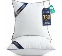 Utopia Bedding Coussin, Coussins de Garnissage, Canapé Oreillers, Rembourrage Coussins, Intérieur Coussin Salon (2, Blanc, 55x55 cm)