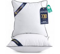 Utopia Bedding Coussin, Coussins de Garnissage, Canapé Oreillers, Rembourrage Coussins, Intérieur Coussin Salon (2, Blanc, 55x55 cm)