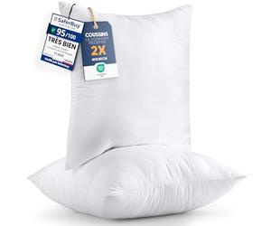 Utopia Bedding Coussins de Garnissage 40 x 40 cm (Lot de 2), Coussin à Recouvrir, Oreillers Intérieur, Rembourrage Coussins (Blanc)