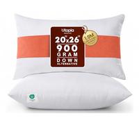 Utopia Bedding Coussins décoratifs d’intérieur pour Sofa, canapé et lit, Lot de 2, Blanc, 51 x 66 cm