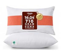 Utopia Bedding Lot de 2 Coussins décoratifs d'intérieur pour lit et canapé 40,6 x 61 cm, Blanc