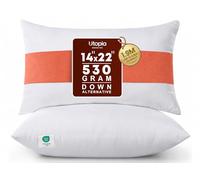 Utopia Bedding Lot de 2 Coussins décoratifs d'intérieur pour lit et canapé - Blanc - 35,6 x 55,9 cm