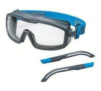 uvex i-guard+ 9143300 Lunettes intégrales gris, bleu Gris G