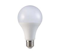 V-TAC ampoule led 1x20 W 3000 K E27 21237