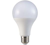 V-Tac - Ampoule Led Sémsung E27 20 W 120 Lm/W A80 Blanc Naturel