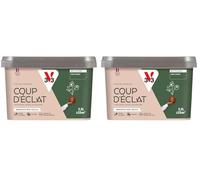 V33 Peinture murale intérieure Coup d'Éclat® Kaki dense Mat Poudré 2,5L (Lot de 2)