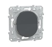 Va-et-vient 1 poste Ovalis Anthracite Schneider
