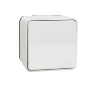 Schneider Electric - Va-et-vient Mureva Styl MUR39021 - IP55 IK08, connexion auto, blanc