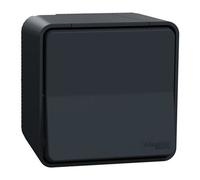 Va-et-vient MUREVA STYL saillie connexion automatique IP55 - SCHNEIDER ELECTRIC - MUR35021