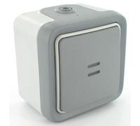 Legrand 069712 Interrupteur ou va-et-vient Témoin Étanche, Plexo Complet Saillie, 10AX, 250V, Gris