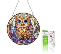 VAIIEYO 5D DIY Diamant Painting Pendentif Hibou, Animal Peinture Diamant Hanging Kit, pour Porte et Fenêtre, Salon Chambre Autocollant Mural Décoration 20x20cm A1