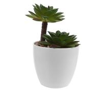 VALICLUD Plante Grasse Artificielle Réaliste Décoration sans Entretien Pot en Plastique Mini Succulente Décorative pour Salon et Café