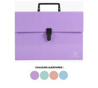 Valisette - Trieur - 18 Compartiments - Poignée - Couleurs Pastel - Exacompta