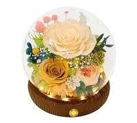 Valley of Rain & Forest Fleurs naturelles durables, cadeau floral symbolique l'amour pour toutes les occasions, pour la décoration d'intérieur (rose champagne, rose jaune, rose Austin rose)