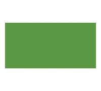 Van Gogh Huile Extra-Fine 40ml: Sap S1 Vert