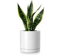 vancasso Pot de fleurs en faïence, 1-pièce Pot de plantes avec soucoupe pour plantes succulentes, plantes vertes, rond, blanc