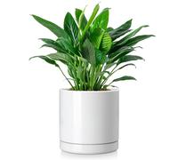 vancasso Pot de fleurs en faïence, 1-pièce Pot de plantes avec soucoupe pour plantes succulentes, plantes vertes, rond, blanc