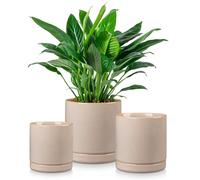 vancasso Pot de fleurs en faïence, 3 pots avec soucoupe pour plantes succulentes, plantes vertes, rond, gris