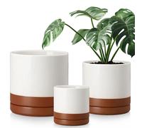 vancasso Pot de fleurs en faïence, 3 pots avec soucoupe pour plantes succulentes, plantes vertes, rond, surface sésame