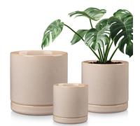 vancasso Pot de fleurs en faïence, 3 pots avec soucoupe pour plantes succulentes, plantes vertes, rond, gris