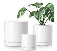 vancasso Pot de fleurs en faïence, 3 pots avec soucoupe pour plantes succulentes, plantes vertes, ronds, blancs
