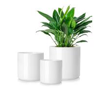 vancasso Pot de fleurs en faïence, 3 pots cylindriques pour plantes succulentes, plantes vertes, ronds, blancs