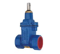 Vanne à eau filetée ZG2 DN50 avec joint souple, PN16, fonte à graphite sphéroïdal GJS