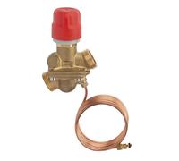 Vanne d’équilibrage automatique Danfoss AB-PM DN 20 (003Z1403)