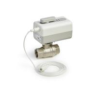 Vanne d'arrêt WIFI pour eau potable VWS02Y015EE, avec actionneur L5