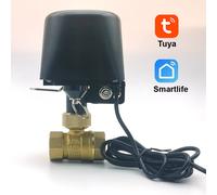 Vanne d'eau intelligente Tuya Zigbee WIFI DN15 DN20 DN25, contrôle domotique, minuterie de robinet, prise en charge Alexa Google Assistant SmartLife EU plug DN25