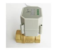 Vanne électrique avec fonction de contrôle temps, vannes marche/arrêt, laiton, 2 voies, filetage 1'' DN25 B*S*P/NPT, AC110V-230V(Dn25 Npt)