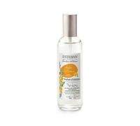 Vaporisateur 100 ml ambre & baumes