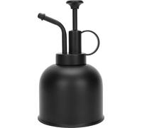 Vaporisateur 300 ml en acier inoxydable pour les plantes d'intérieur, les orchidées et les succulentes