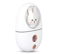 Vaporisateur portable pour le visage, mini humidificateur pour le visage avec réservoir d'eau de 35 ml, 501 mAh USB rechargeable pour le bureau, les voyages, pour la famille