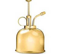 Vaporisateur pour plantes - 300ml Style Vintage Premium Classique Intérieur Vaporisateur - Métal Décoratif Plantes Mister avec Top Pompe - Pompe d'arrosage pour plantes aériennes Orchidées